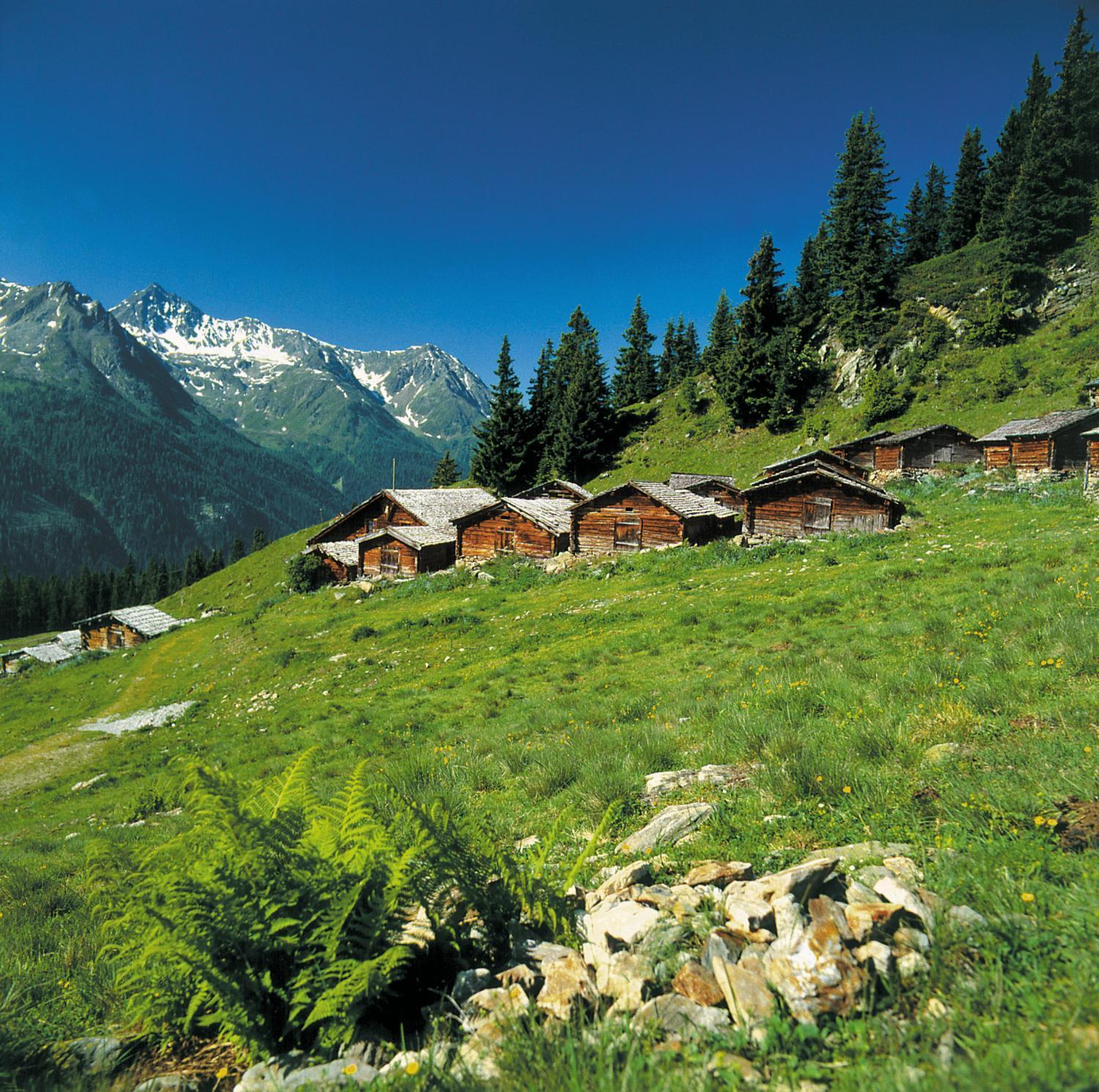 Hotel Alpenkoenigin - Sommer Silvretta Premium Card Inklusive Зее Экстерьер фото
